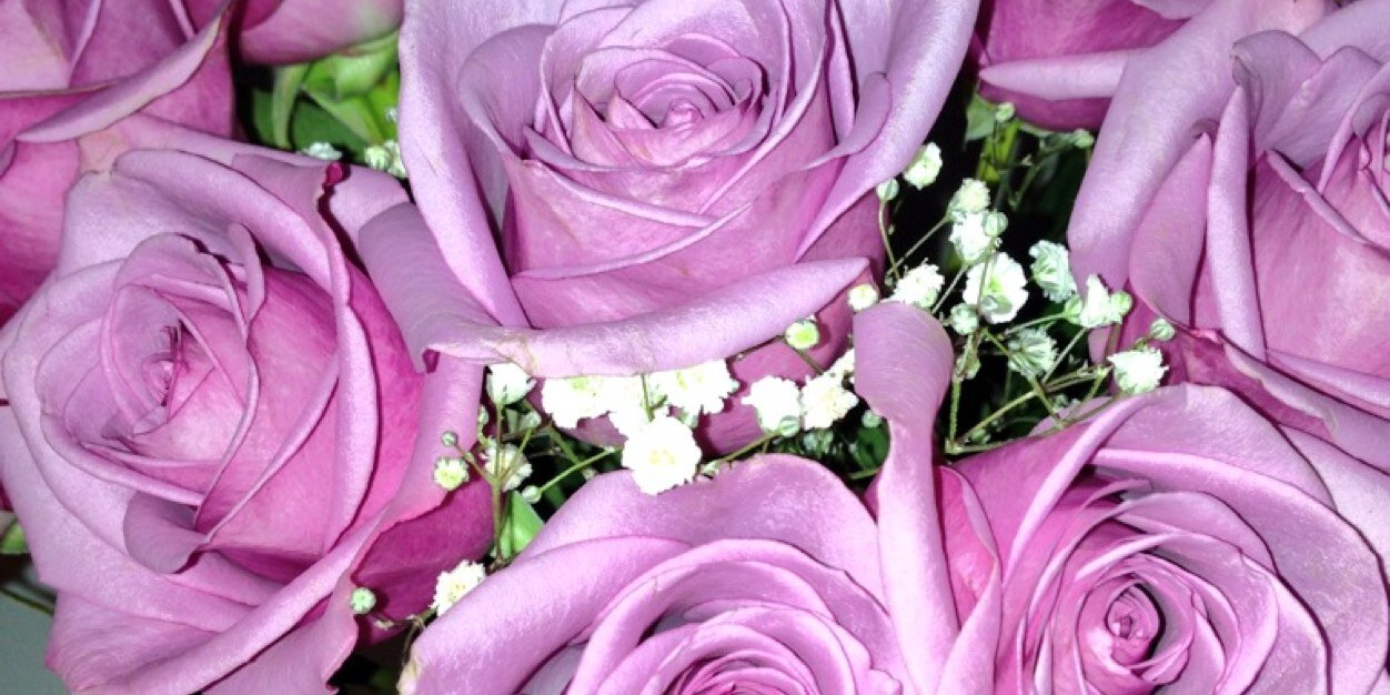 LouiseF72's profile banner image