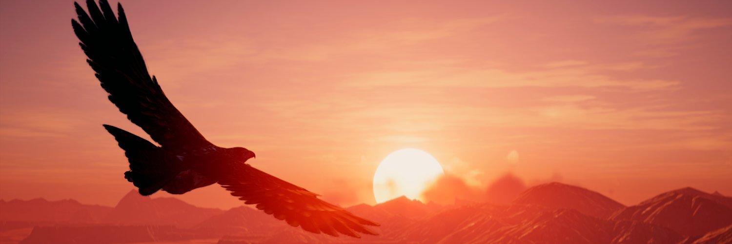 djava_vp's profile banner image