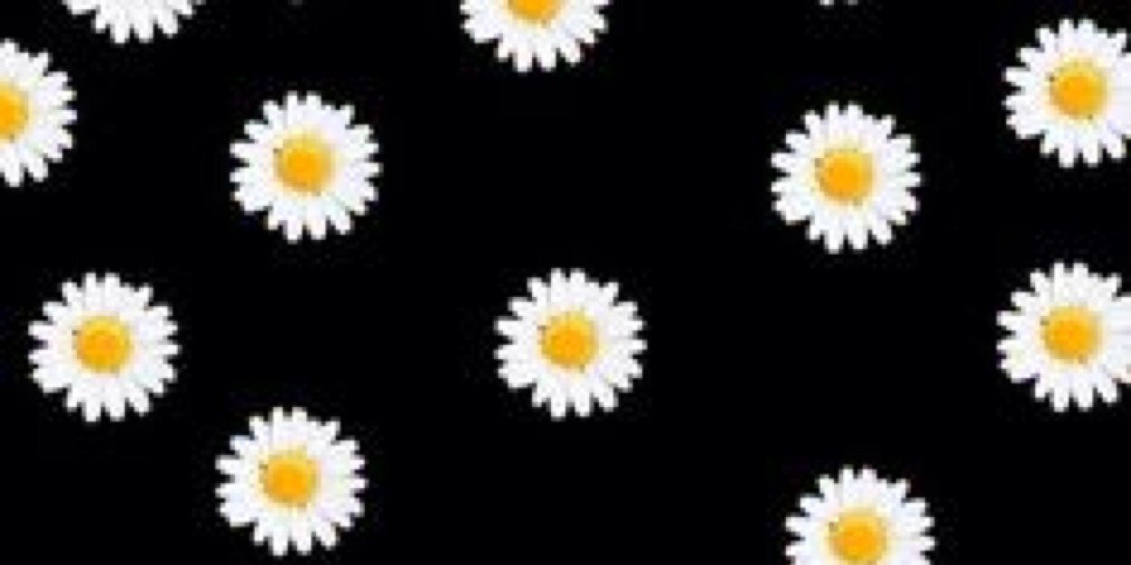 MBintangN's profile banner image