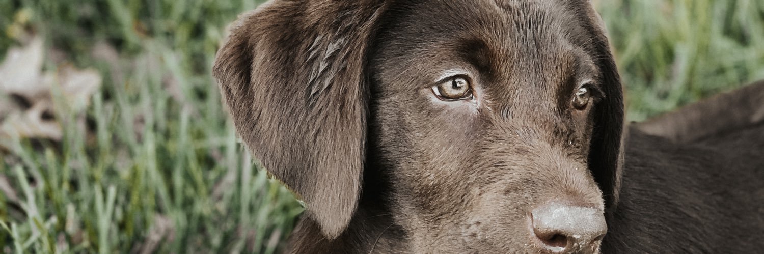 jensenmitchell3's profile banner image