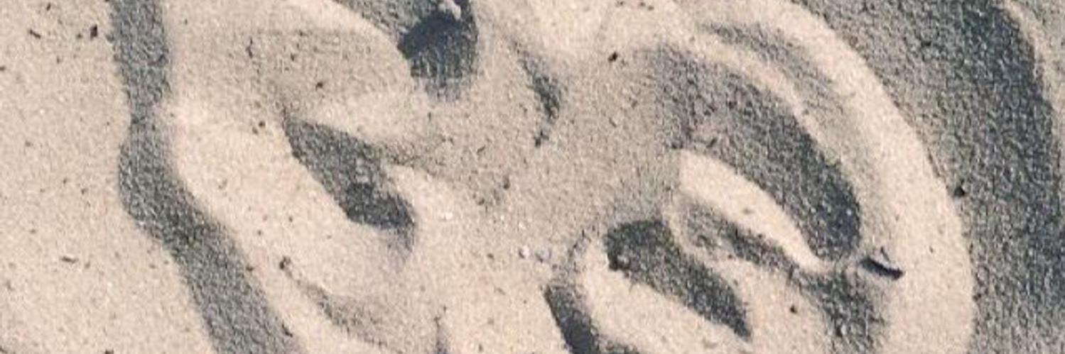 Eleanor banner
