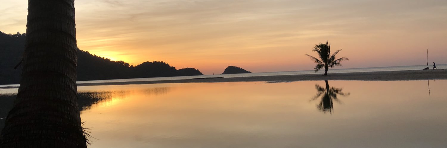 pjmehus's profile banner image