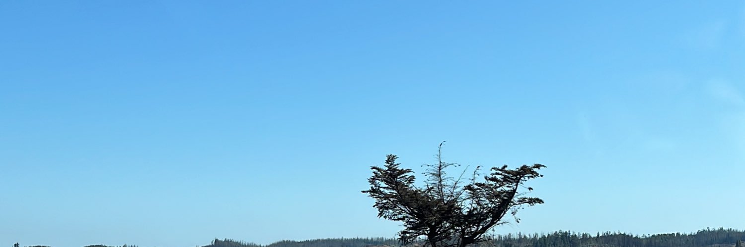 a_silvae's profile banner image