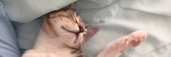 twdpunkk Profile Banner
