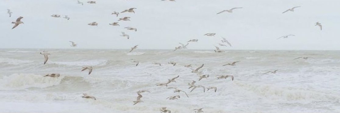 Amool_664's profile banner image