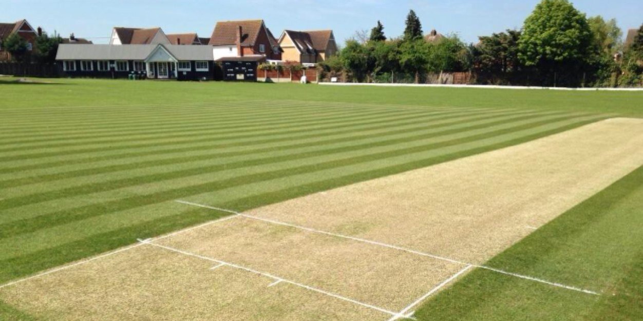 Braintree CC 🐬🐬 banner