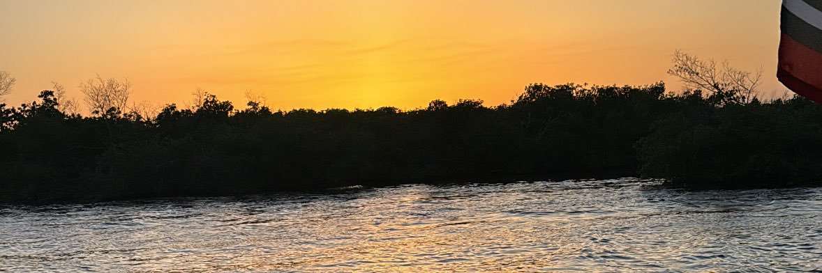 cinnxmongorl's profile banner image