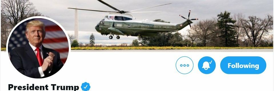 orangeduckfuzz's profile banner image