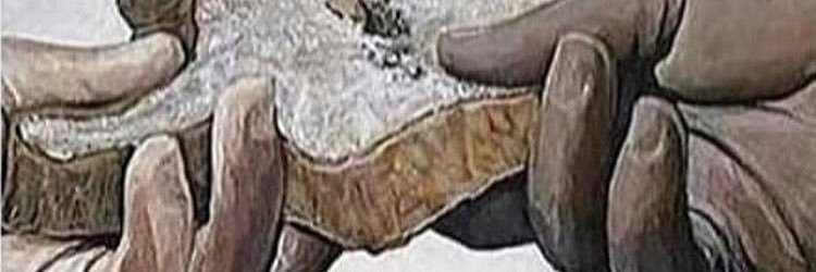 FreeBands__'s profile banner image