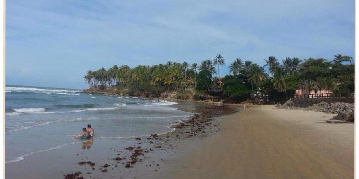 liisieborges's profile banner image