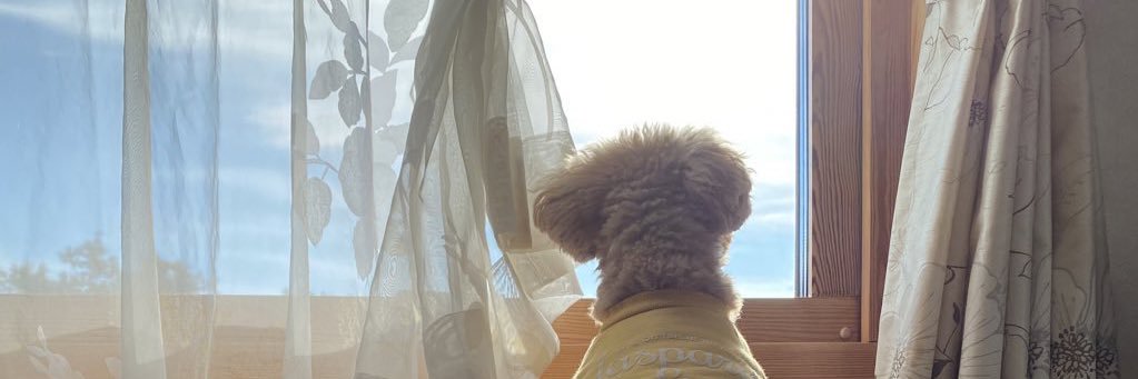 SoraMeguLala's profile banner image