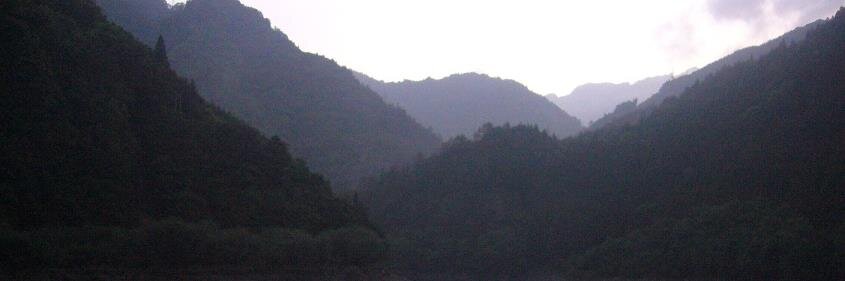 林(JMB)＠残飯🌵 banner