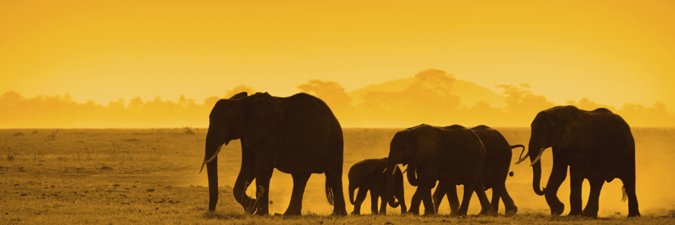 RamonaML's profile banner image