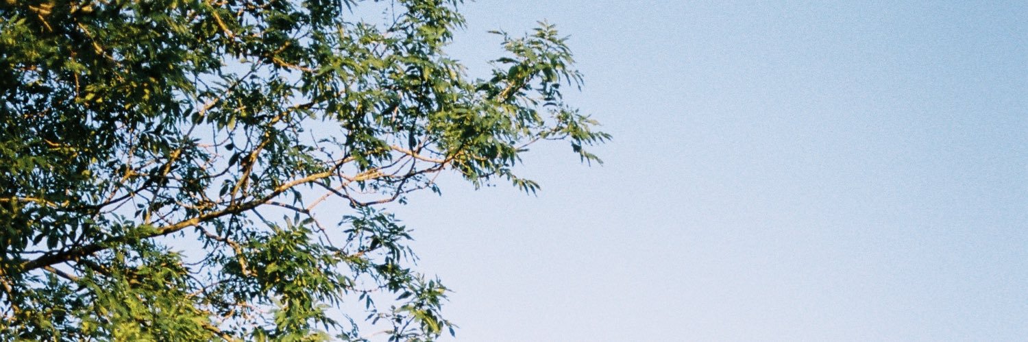 Jed_Small's profile banner image