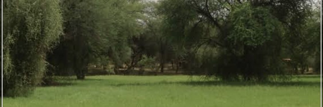 إبراهيم الدويري banner