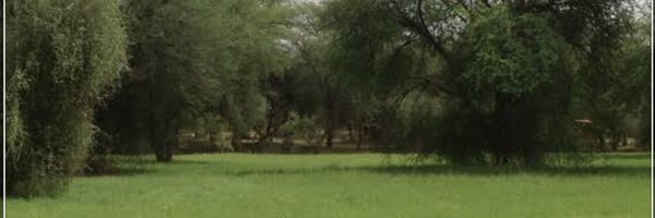 duweiry Profile Banner