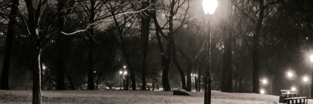 lg3lfc's profile banner image