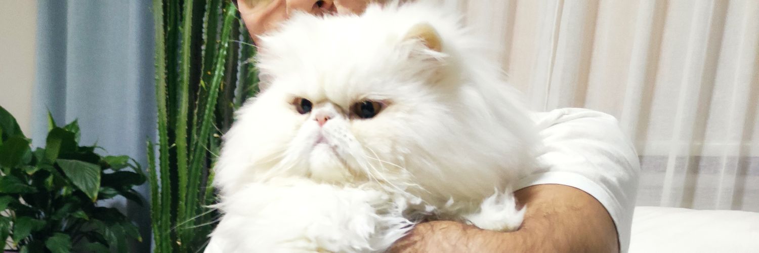 tikovall's profile banner image