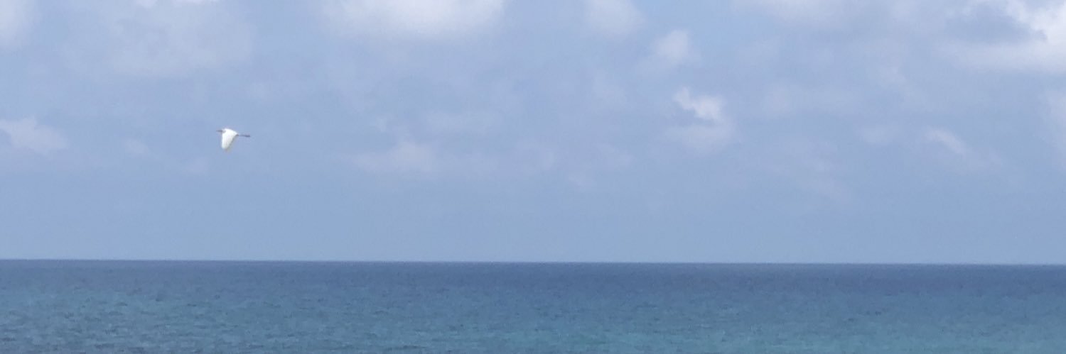 ShunyaHashizume's profile banner image