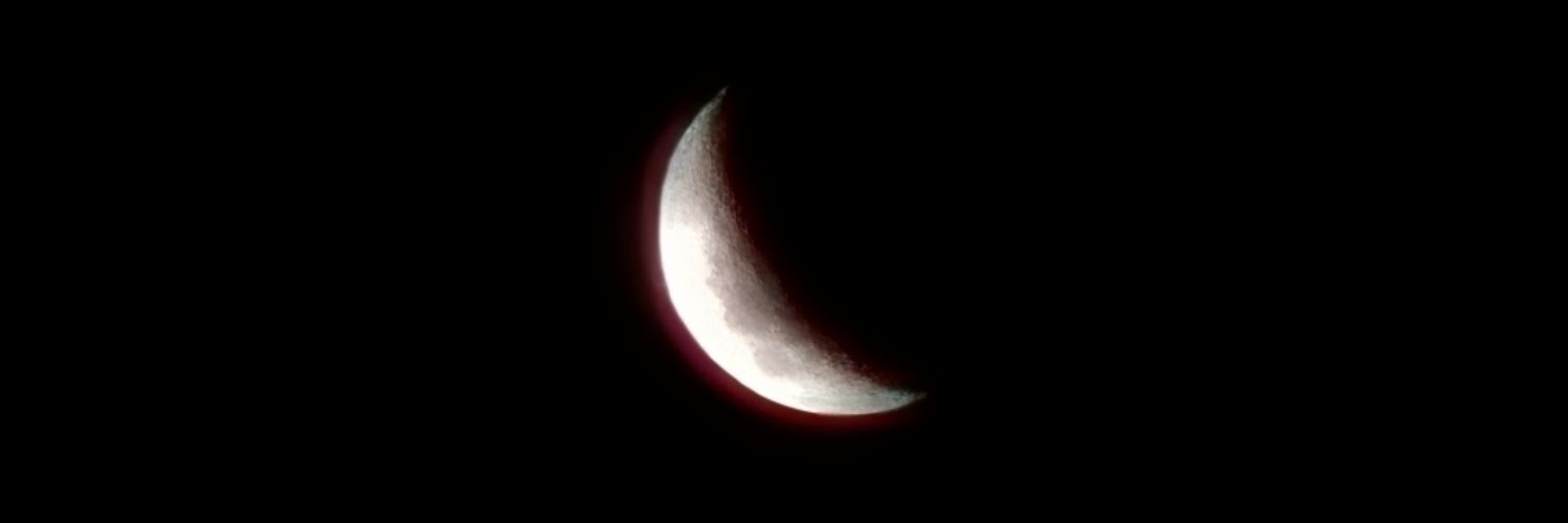 fontanafee's profile banner image