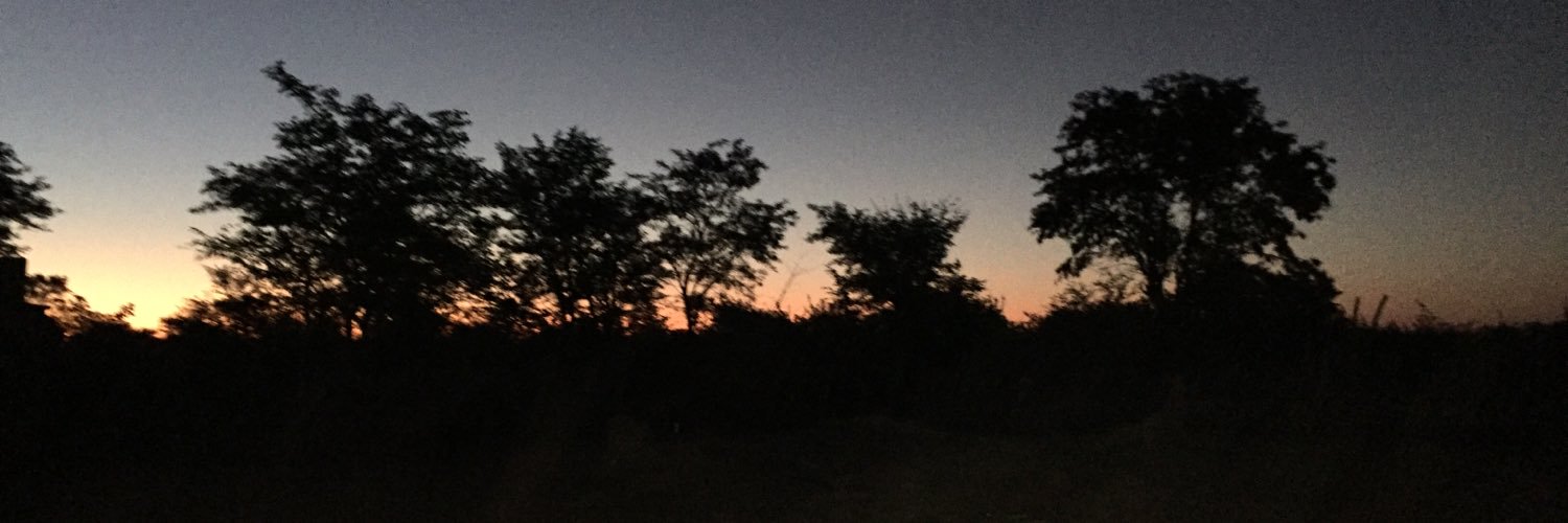 _imbokodo's profile banner image