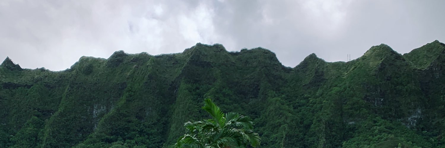GraceCarwile's profile banner image