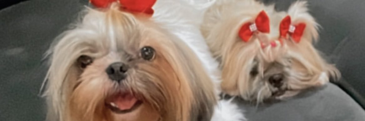 faveraojunior's profile banner image