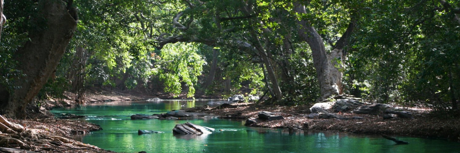 amanda handscombe banner