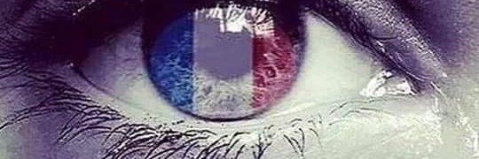 AlexTaz 🐨 😈 banner