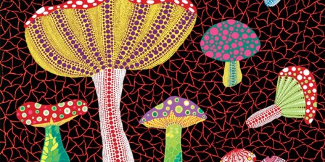 kwk_knk's profile banner image