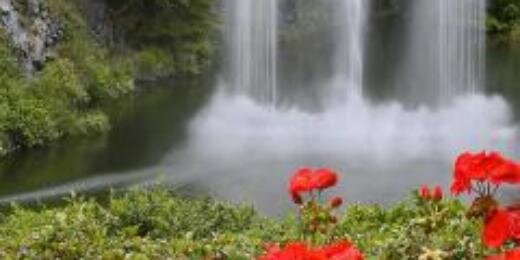 hakimhammadi1's profile banner image