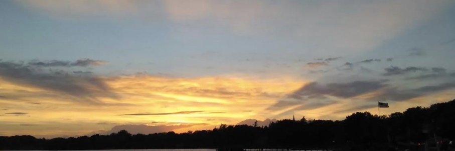 Nancy Roncke, PhD banner