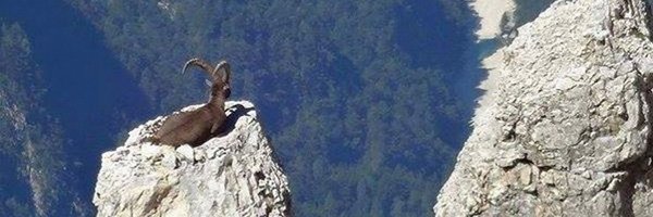 ECOWARRIORSS Profile Banner