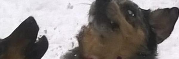 CapKeye5 Profile Banner