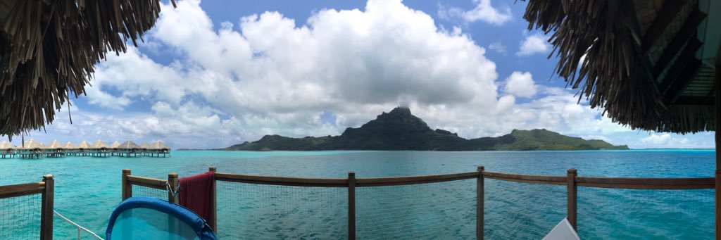 David Winchell banner