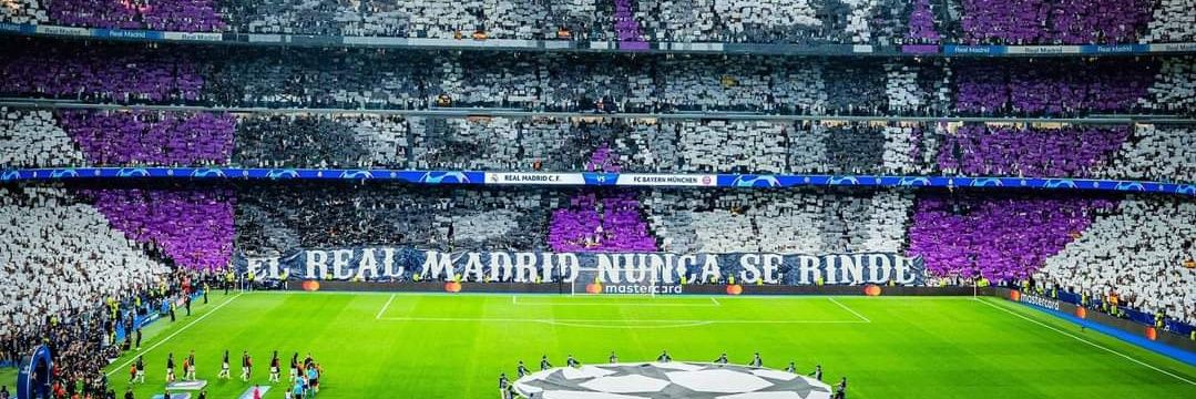 Sâmû💜🤍 banner