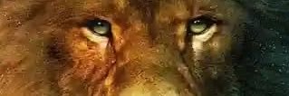 melisaredpillf's profile banner image