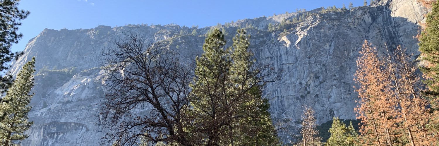 Buster Benson banner