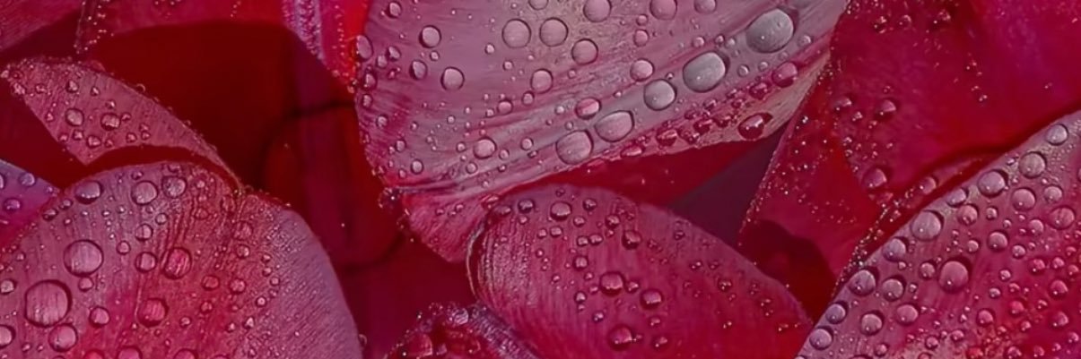 briyours3lf's profile banner image