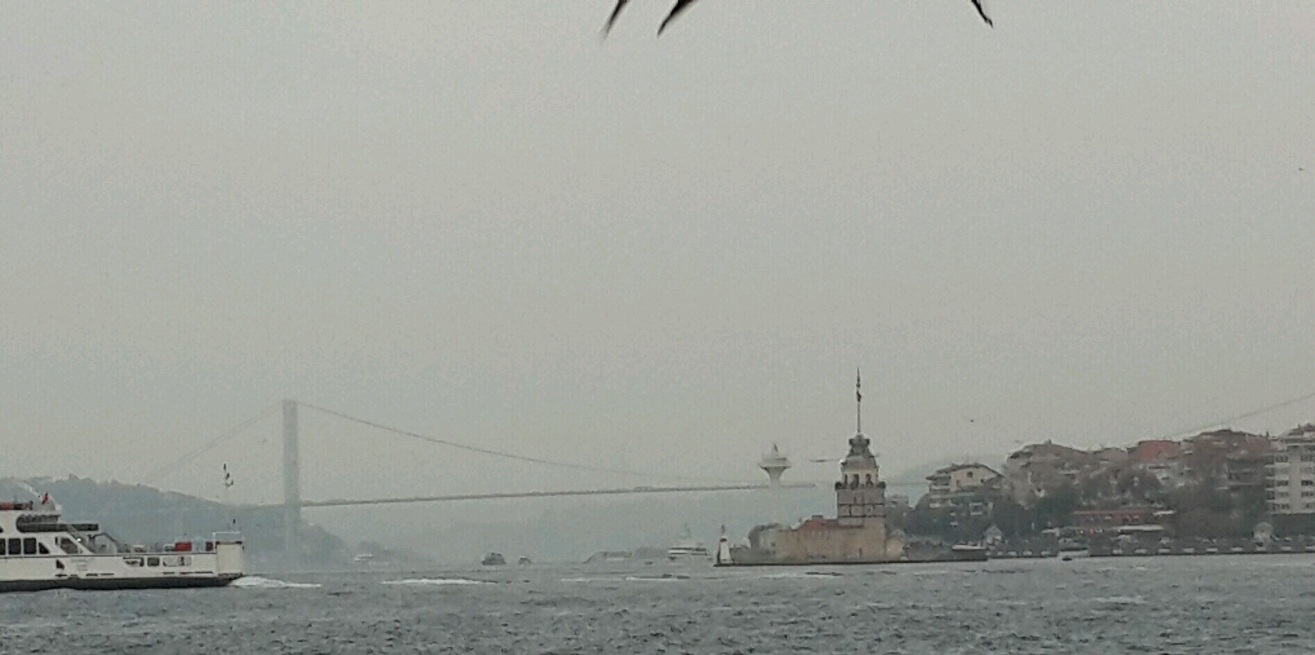 IcliSerkan's profile banner image
