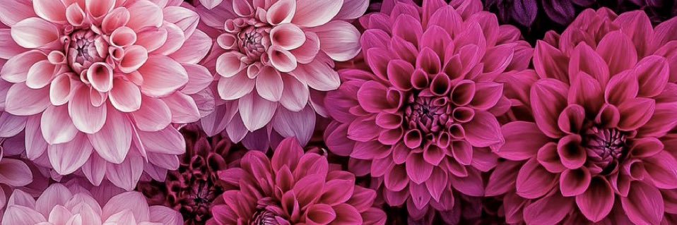 deehe_'s profile banner image