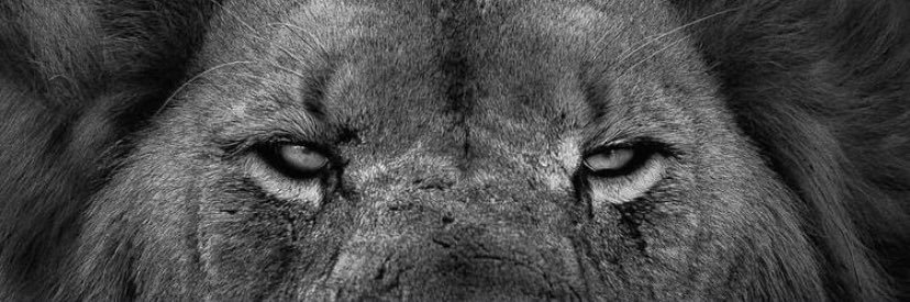 Rivas2Ma's profile banner image