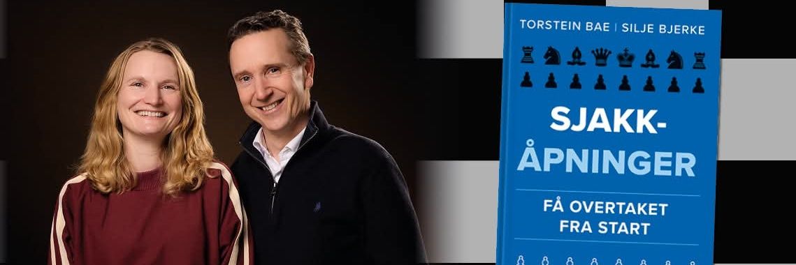 Torstein Bae banner