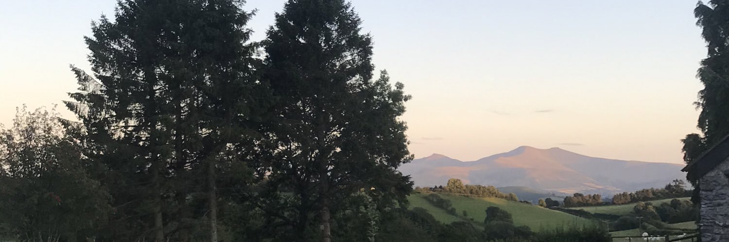 MazzJacobs3's profile banner image
