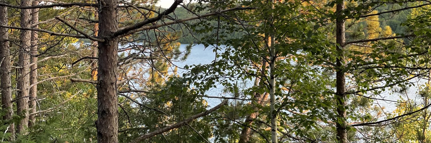 Audra Abromaitis (she/her) banner