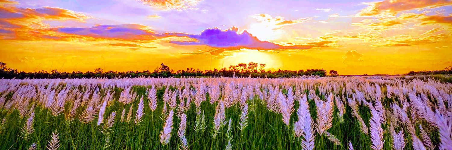 gora_dutt's profile banner image