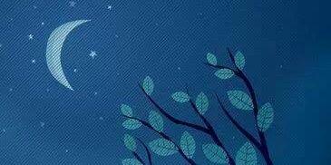 charogarciantu's profile banner image