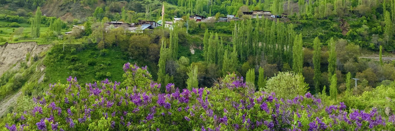 Vahdettin Oktay BEYAZLI banner