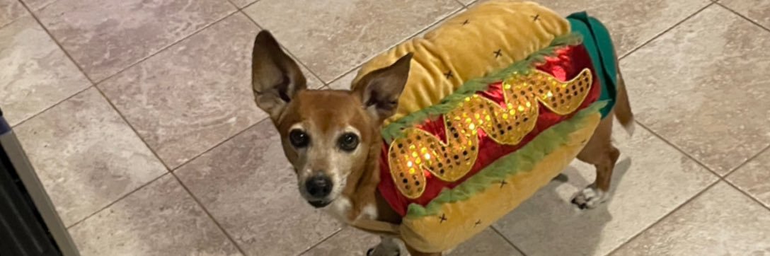 Tamara Kneese banner