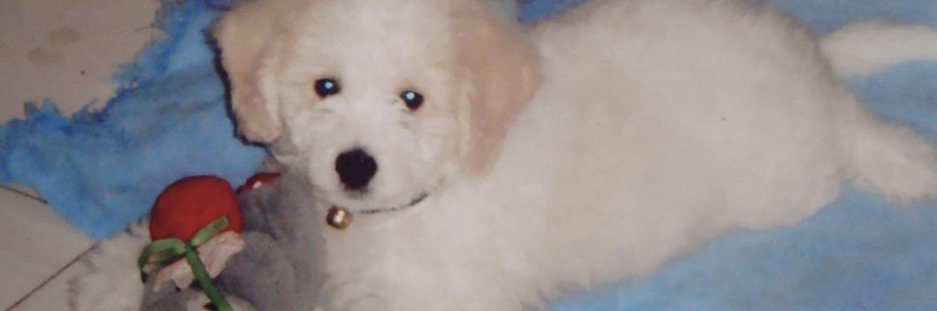 BlXimenaa's profile banner image